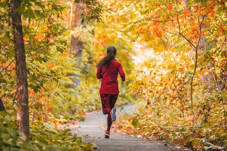 Hardlopen in het bos