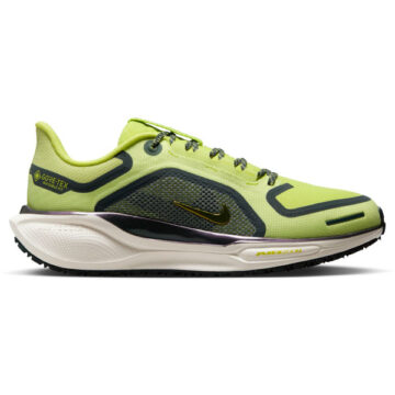Nike Pegasus 41 GTX Dames